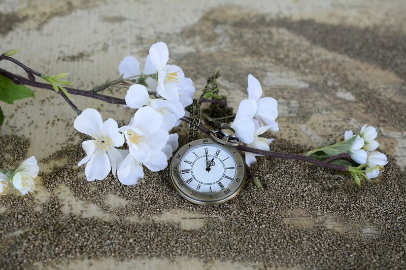 Time Turner